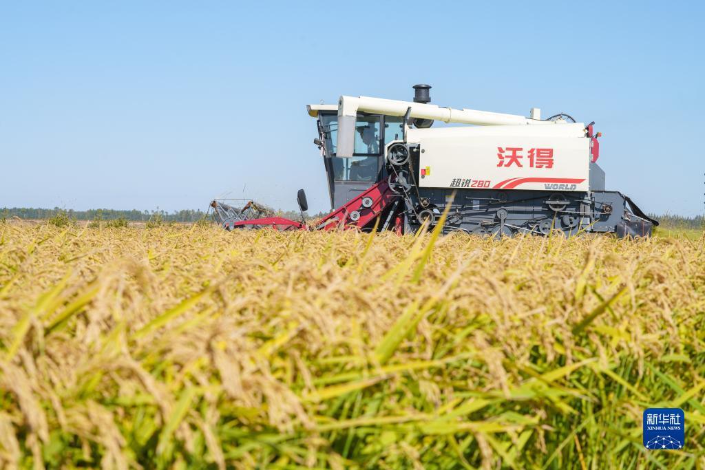 大丰收在线娱乐